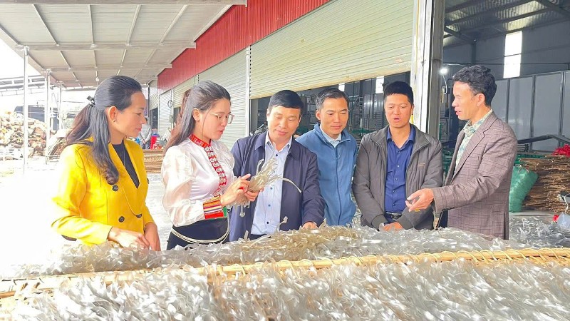 Giữ gìn và phát triển nghề truyền thống