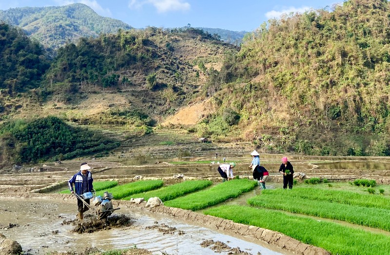 Sôi nổi ra quân sản xuất nông nghiệp đầu năm