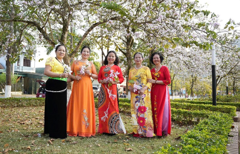 Rực rỡ mùa hoa ban ở Lai Châu