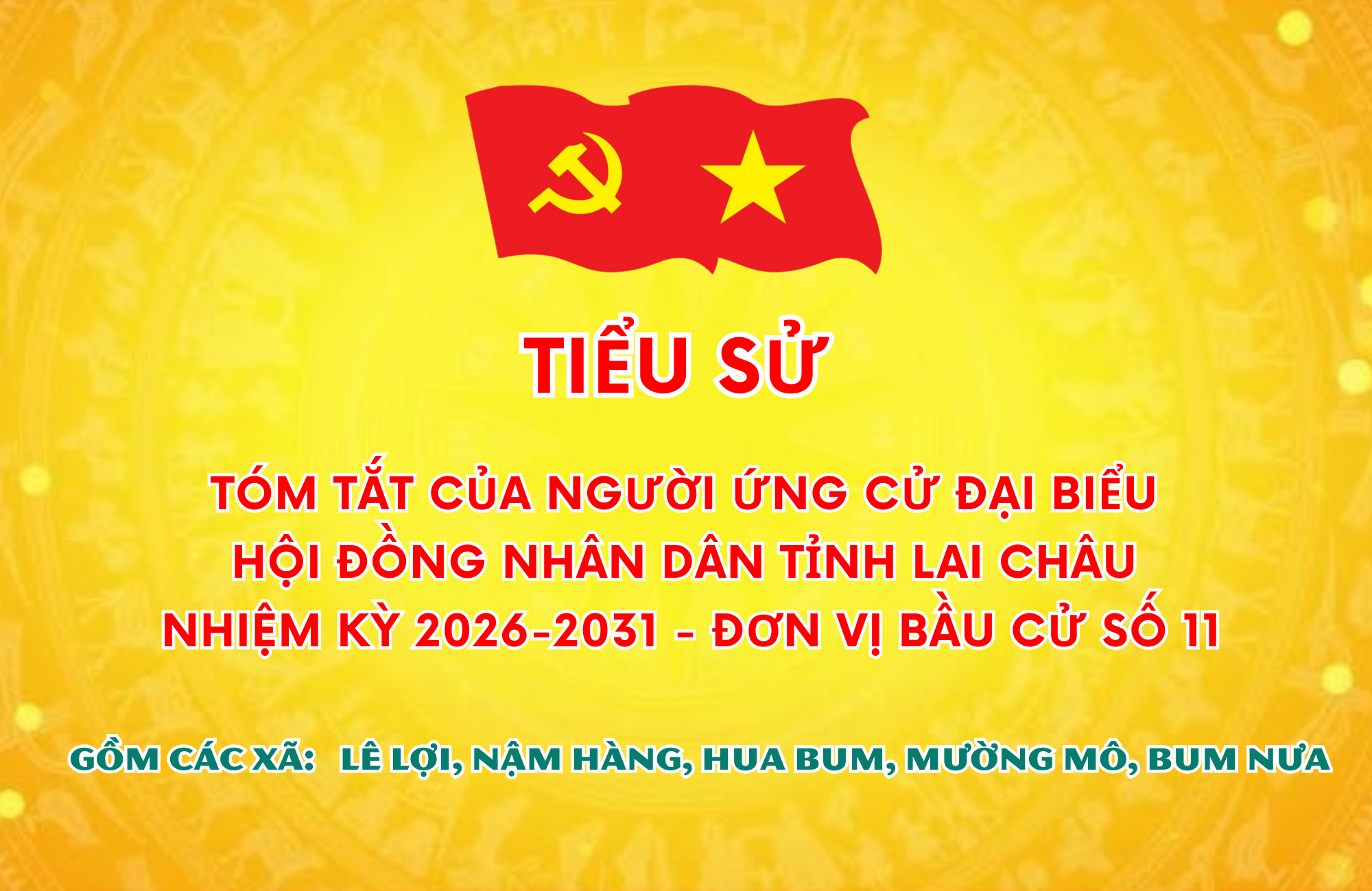 Tiểu sử tóm tắt của người ứng cử Đại biểu Hội đồng Nhân dân tỉnh Lai Châu, nhiệm kỳ 2026-2031