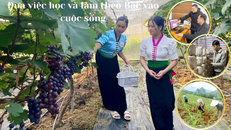 Đưa việc học và làm theo Bác vào cuộc sống