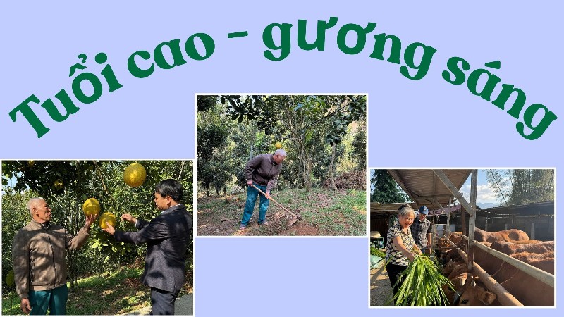 Tuổi cao - gương sáng