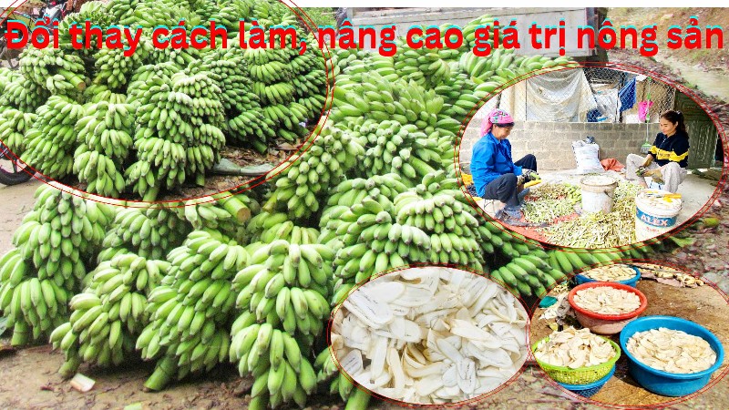 Đổi thay cách làm, nâng cao giá trị nông sản