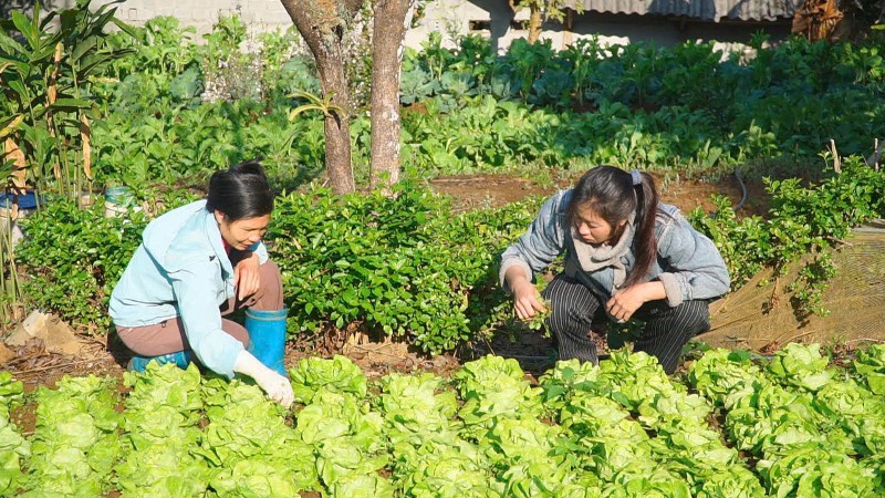 Nêu gương xây dựng gia đình văn hóa