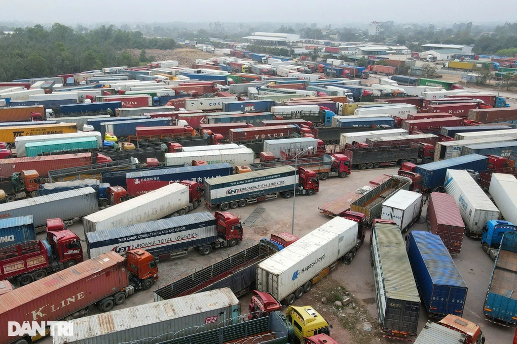 Tiếp tục ngưng thực hiện Nghị định 46 về an toàn thực phẩm