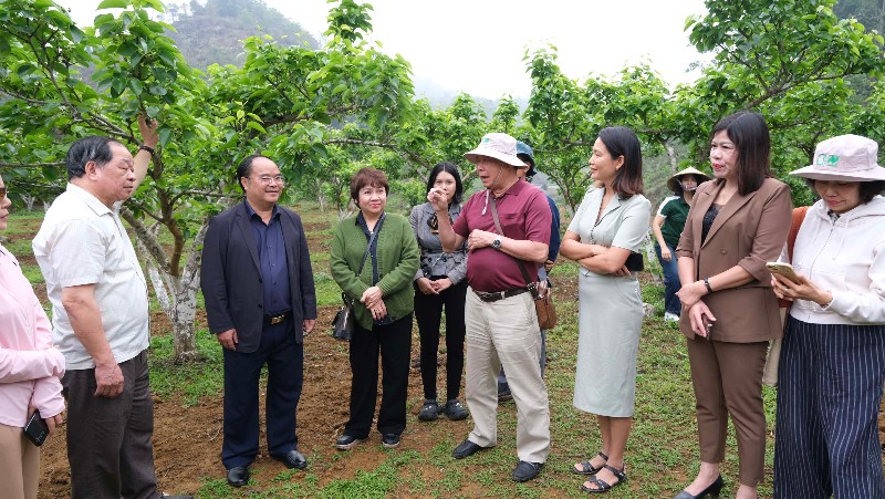 Tân Phong tổ chức chương trình kết nối hội viên Hiệp hội Nông nghiệp hữu cơ Việt Nam 