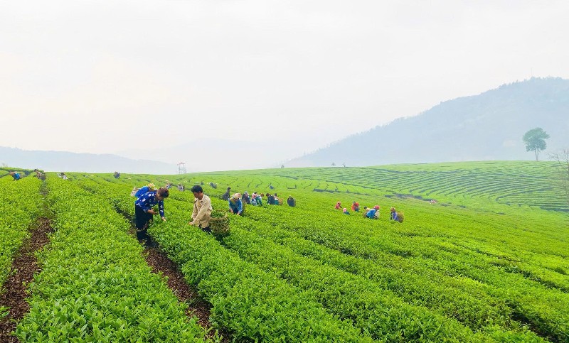 Xây dựng nông thôn mới từ thế mạnh địa phương