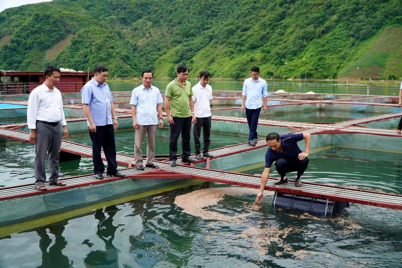 Đổi mới sáng tạo, phát triển các mô hình hợp tác xã gắn với chuỗi giá trị