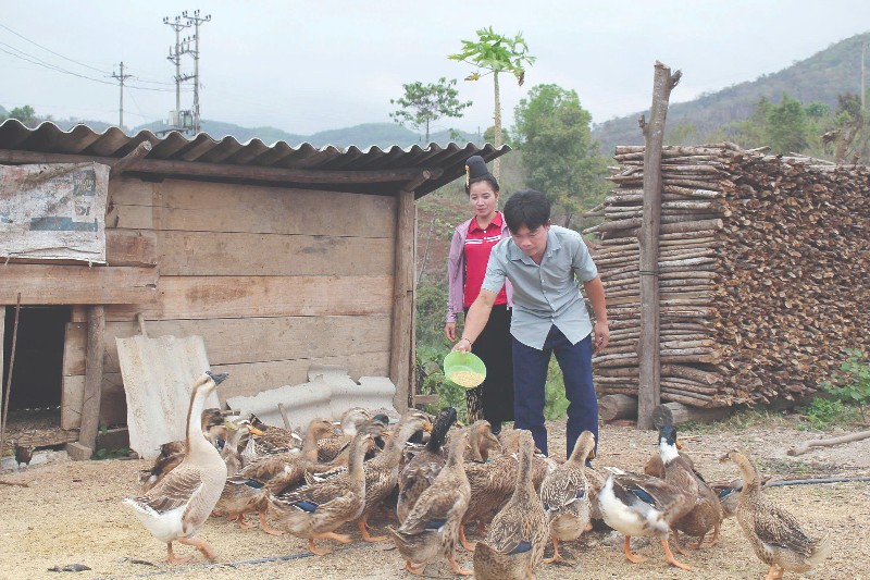 “Điểm tựa” của dân bản Nậm Ngá