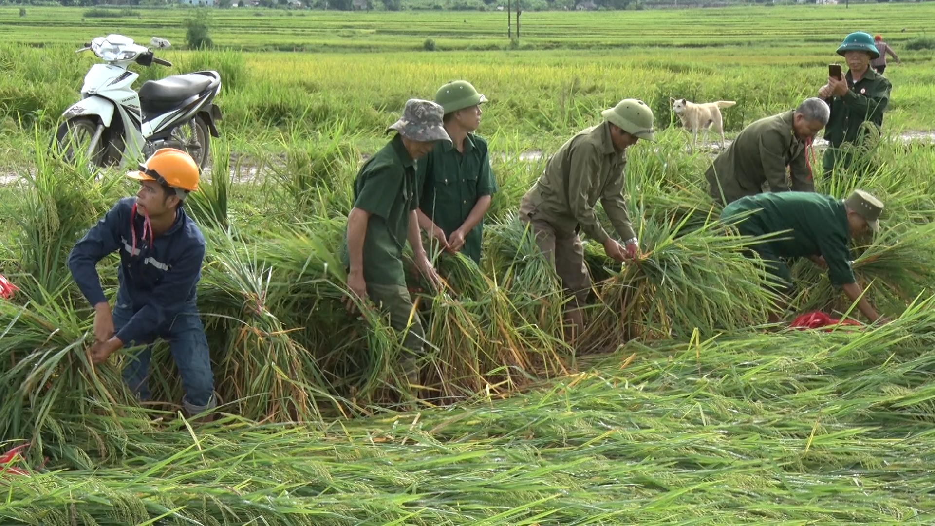 Tăng cường lãnh, chỉ đạo phòng chống thiên tai