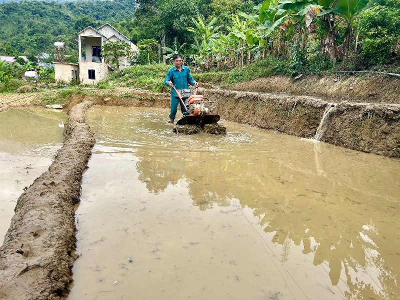 Chuyển đổi cơ cấu cây trồng, vật nuôi