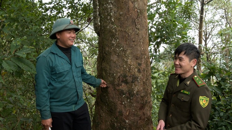 Anh Lềnh giữ rừng