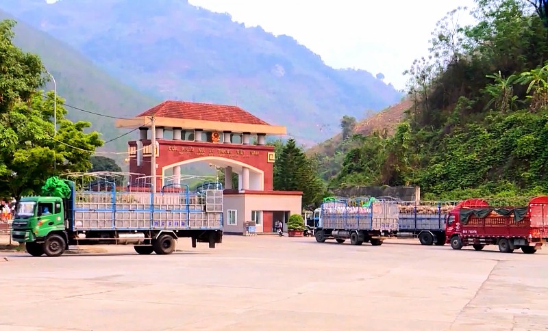 Đánh thức tiềm năng, bứt phá từ nội lưc