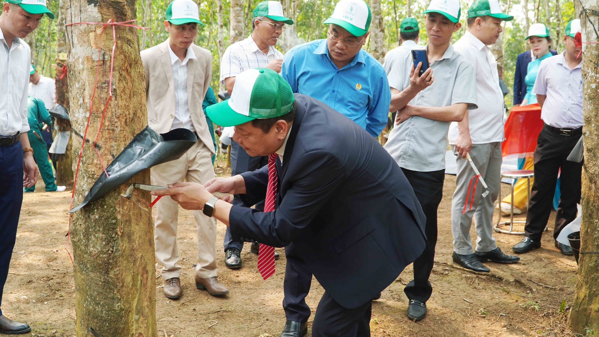Lãnh đạo Công ty Cổ phần Cao su Lai Châu II khai dao nhát cạo đầu tiên cho mùa thu hoạch năm 2026.