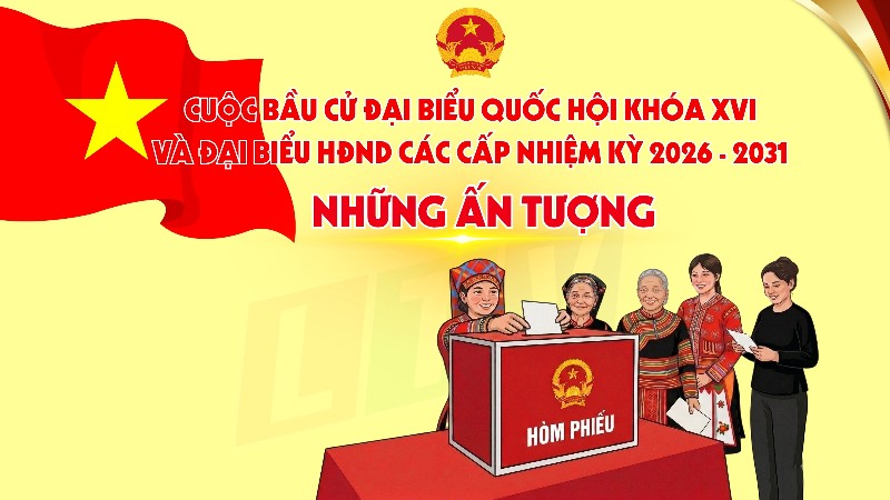  Những ấn tượng