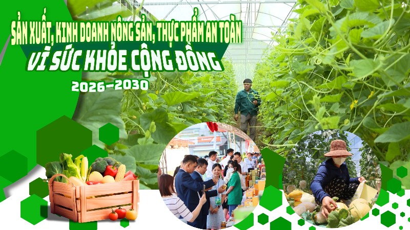 Triển khai thực hiện Đề án “Tuyên truyền, vận động, hướng dẫn nông dân sản xuất, kinh doanh nông sản, thực phẩm an toàn vì sức khỏe cộng đồng giai đoạn 2026 - 2030” trên địa bàn tỉnh