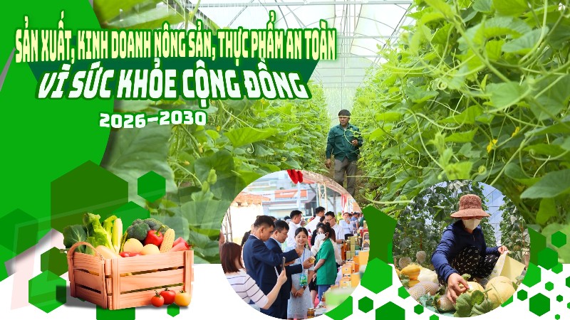 Triển khai thực hiện Đề án “Tuyên truyền, vận động, hướng dẫn nông dân sản xuất, kinh doanh nông sản, thực phẩm an toàn vì sức khỏe cộng đồng giai đoạn 2026 - 2030” trên địa bàn tỉnh
