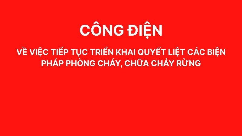 Công điện về việc tiếp tục triển khai quyết liệt các biện pháp phòng cháy, chữa cháy rừng