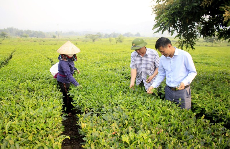 Kỳ 2: Giải pháp đột phá cho tăng trưởng bền vững