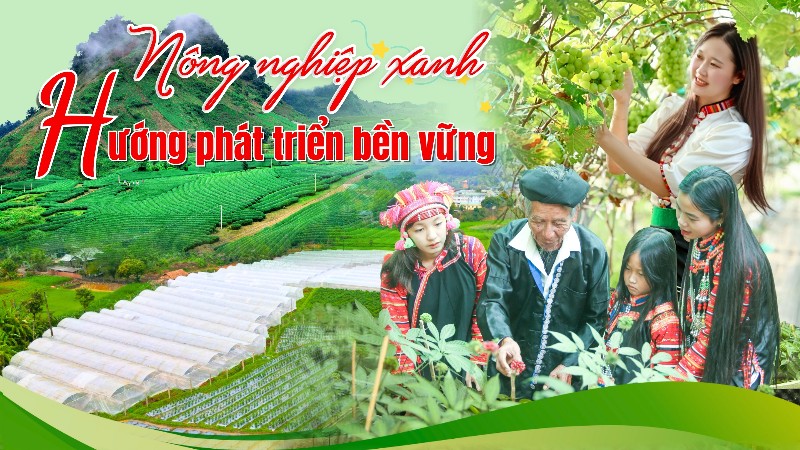 Nông nghiệp xanh - Hướng phát triển bền vững