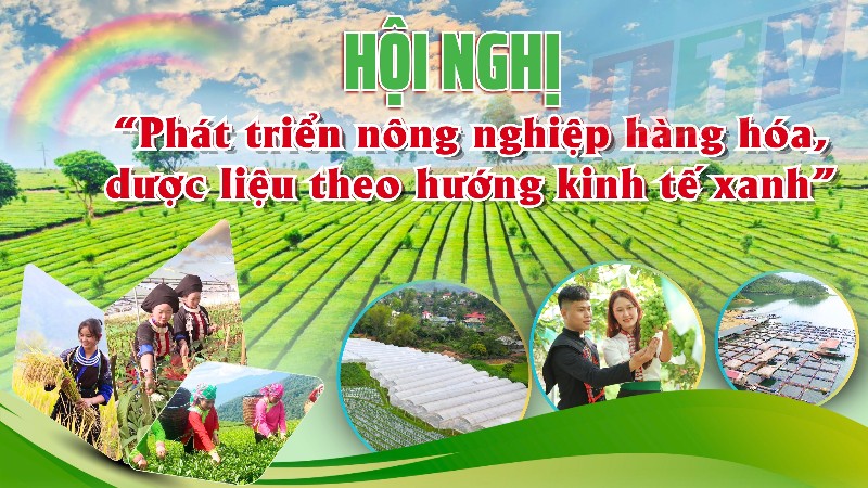 Hội nghị “Phát triển nông nghiệp hàng hóa, dược liệu theo hướng kinh tế xanh”