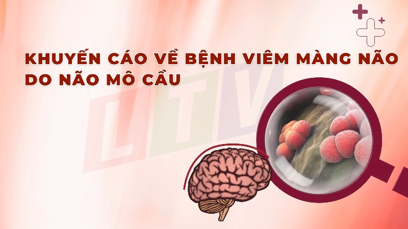 Khuyến cáo về bệnh viêm màng não do não mô cầu