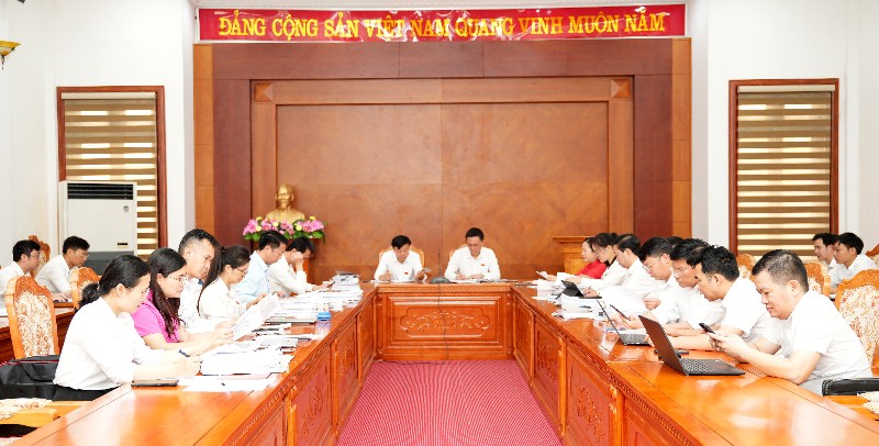 Đại biểu HĐND tỉnh thảo luận tổ, làm rõ nhiều nội dung quan trọng trình kỳ họp chuyên đề