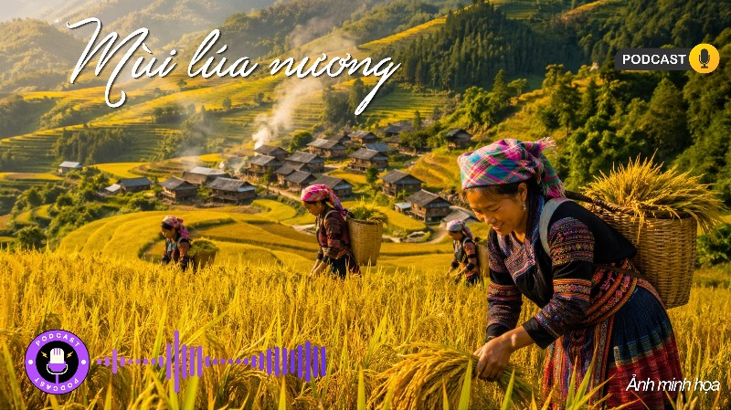 Mùi lúa nương