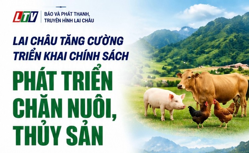 Lai Châu tăng cường triển khai chính sách phát triển chăn nuôi, thủy sản