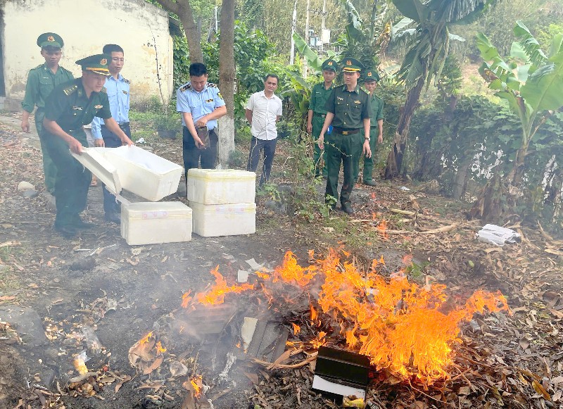 Tiêu hủy tang vật vi phạm hành chính bị tạm giữ