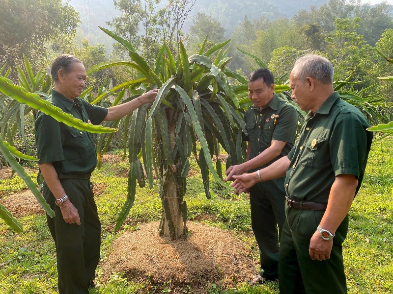 Ký ức không quên, tiếp bước dựng xây quê hương