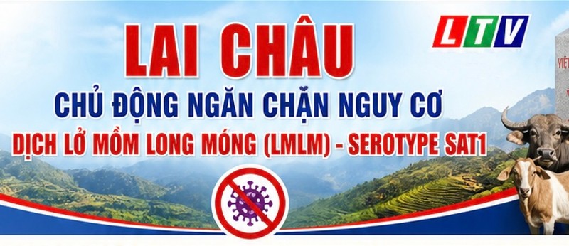 Lai Châu chủ động ngăn chặn nguy cơ dịch lở mồm long móng serotype sat1