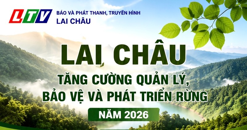 Lai Châu tăng cường quản lý, bảo vệ và phát triển rừng năm 2026