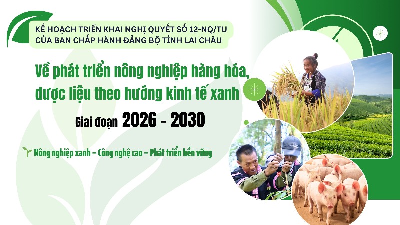 Phát triển nông nghiệp hàng hóa, dược liệu theo hướng kinh tế xanh giai đoạn 2026-2030