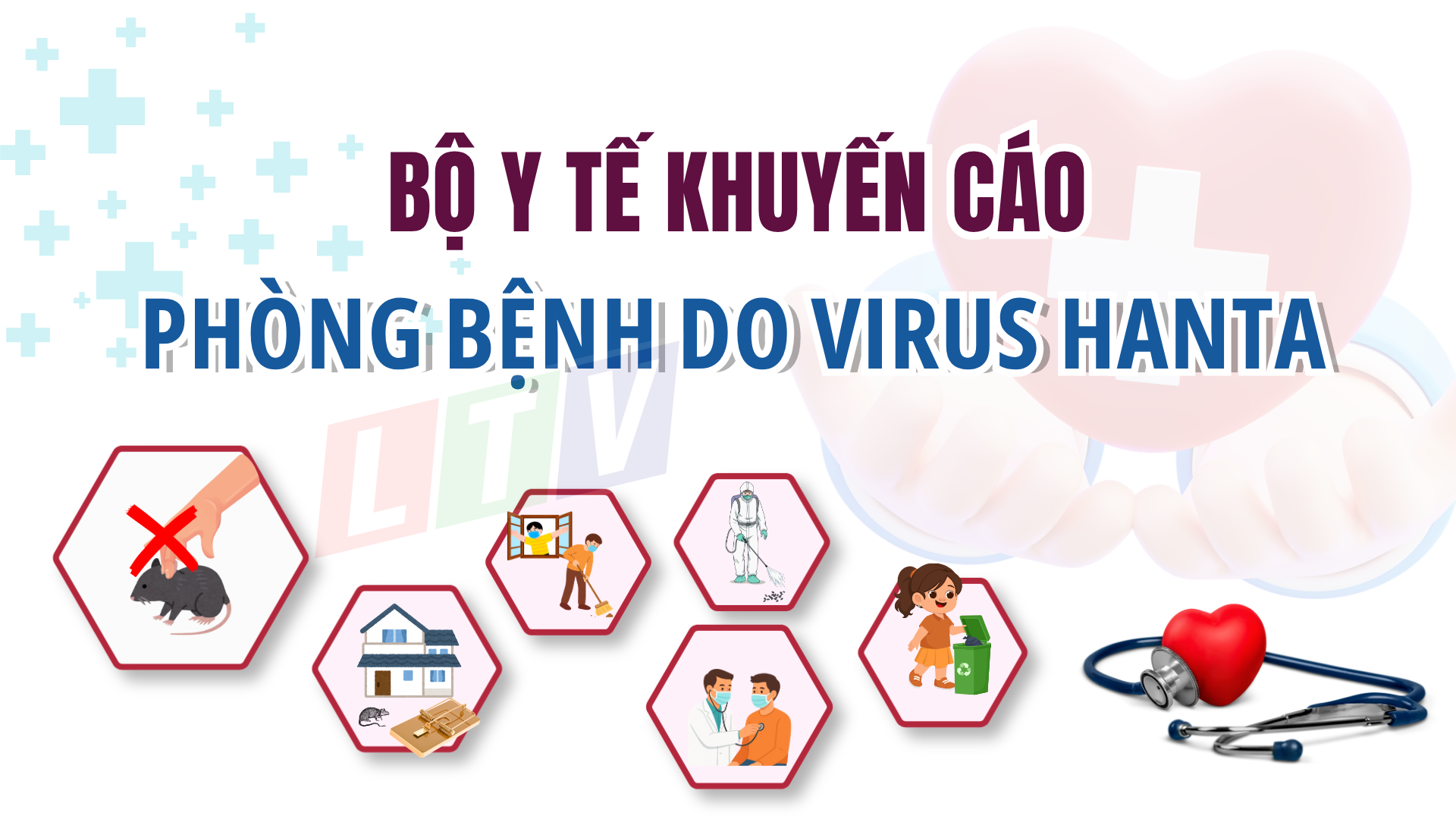 Bộ Y tế khuyến cáo phòng bệnh do virus Hanta