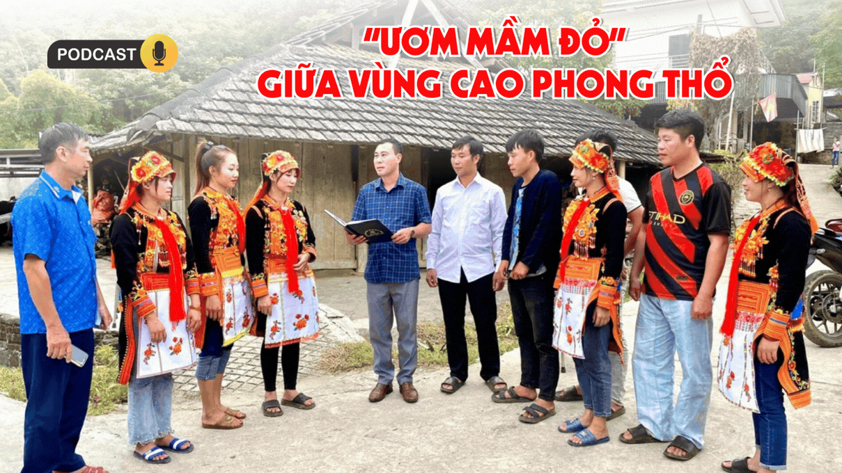 “Ươm mầm đỏ” giữa vùng cao Phong Thổ