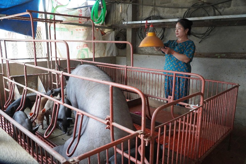 Kỳ 2: Tháo gỡ khó khăn
