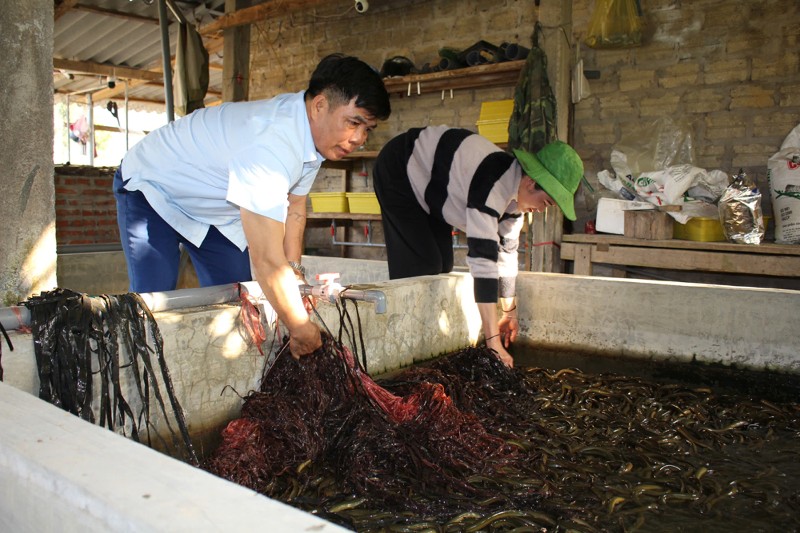 Phát triển nông nghiệp bền vững