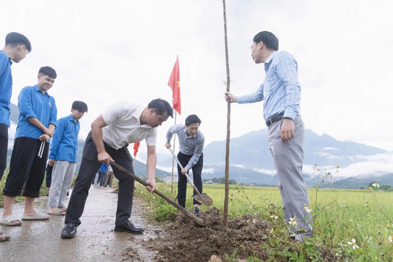 Xã Bình Lư: Trồng cây Muồng Hoàng Yến nhân kỷ niệm 136 năm Ngày sinh Chủ tịch Hồ Chí Minh