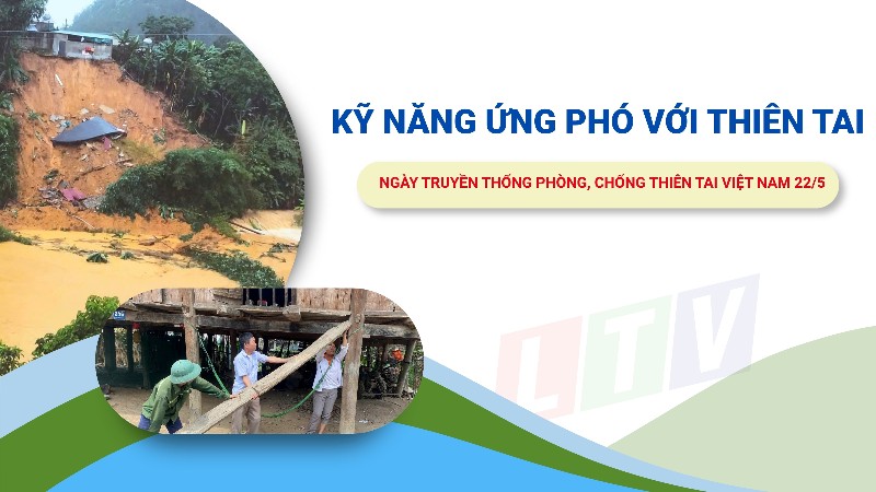 Kỹ năng ứng phó với thiên tai