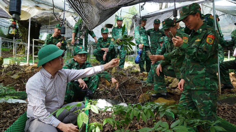 Hội nghị tập huấn kỹ thuật trồng sâm Lai Châu