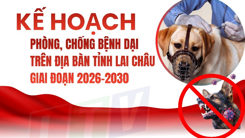 Kế hoạch Phòng, chống bệnh Dại trên địa bàn tỉnh Lai Châu giai đoạn 2026-2030