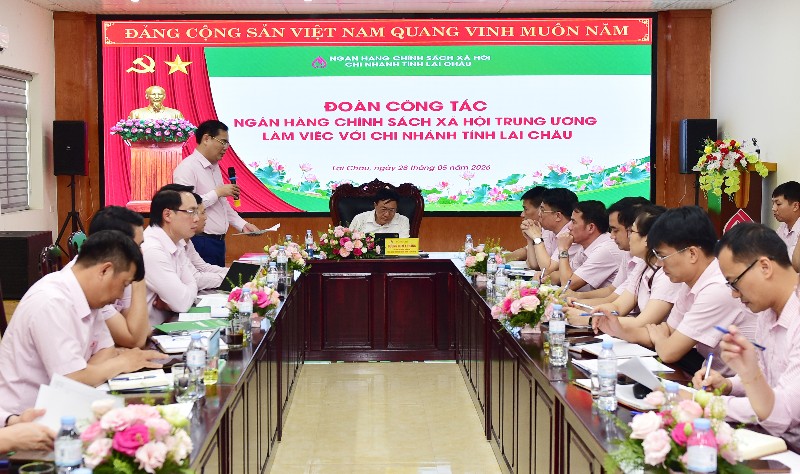 Tổng Giám đốc Ngân hàng Chính sách xã hội làm việc với Chi nhánh Ngân hàng Chính sách xã hội  tỉnh Lai Châu