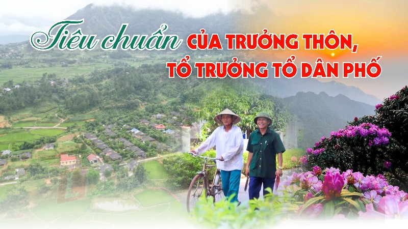 Quy định tiêu chuẩn của Trưởng thôn, Tổ trưởng tổ dân phố