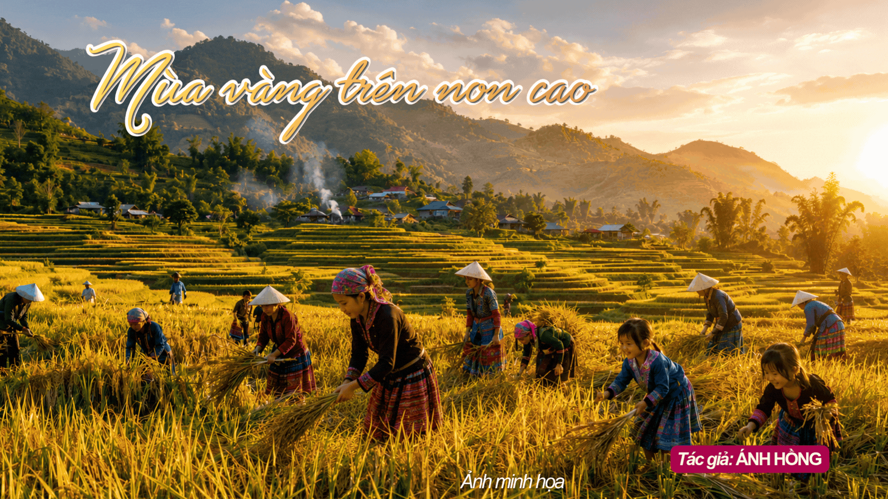 Mùa vàng trên non cao