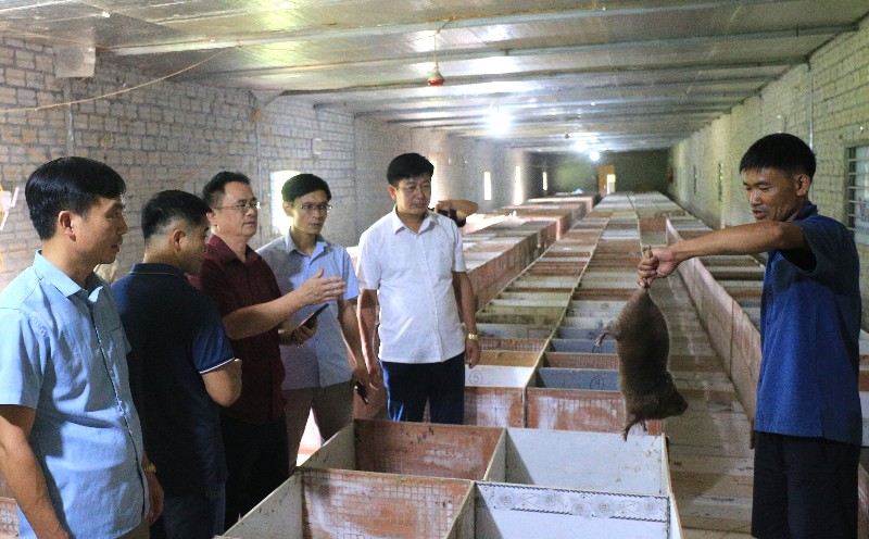 Đoàn công tác của Ban Chỉ đạo phát triển kinh tế tập thể tỉnh làm việc tại xã Mường Tè