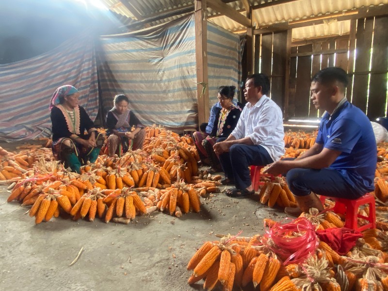 Lai Châu phát huy vai trò “Tuổi cao - Gương sáng”