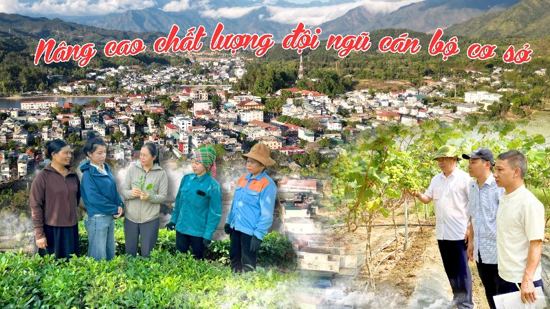 Nâng cao chất lượng đội ngũ cán bộ cơ sở