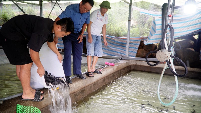 Bàn giao giống cá tầm cho 2 hộ dân tại xã Tả Lèng
