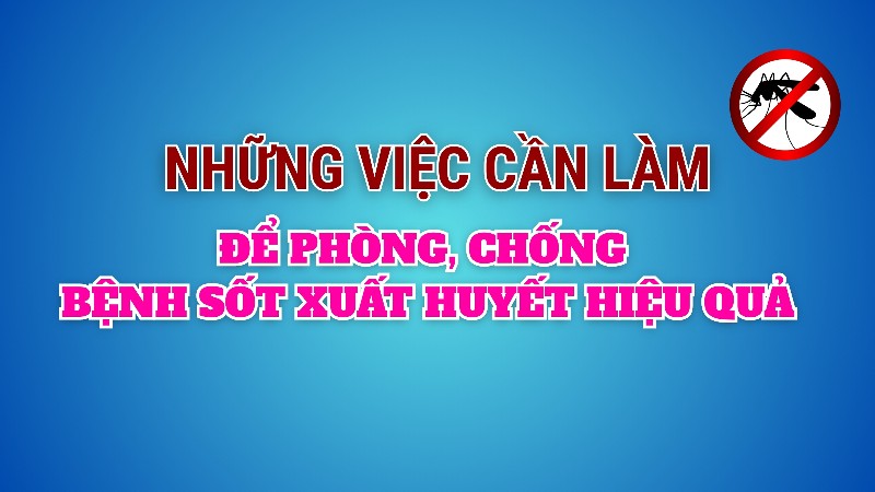 Những việc cần làm để phòng, chống bệnh sốt xuất huyết hiệu quả